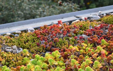 the cost of Holdenhurst green roof installation