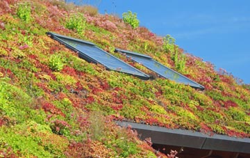 Holdenhurst living roof systems
