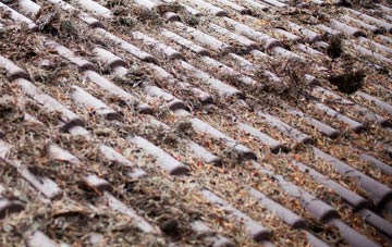 Holdenhurst roof cleaning companies