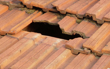 roof repair Holdenhurst, Dorset