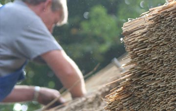 professional Holdenhurst thatchers